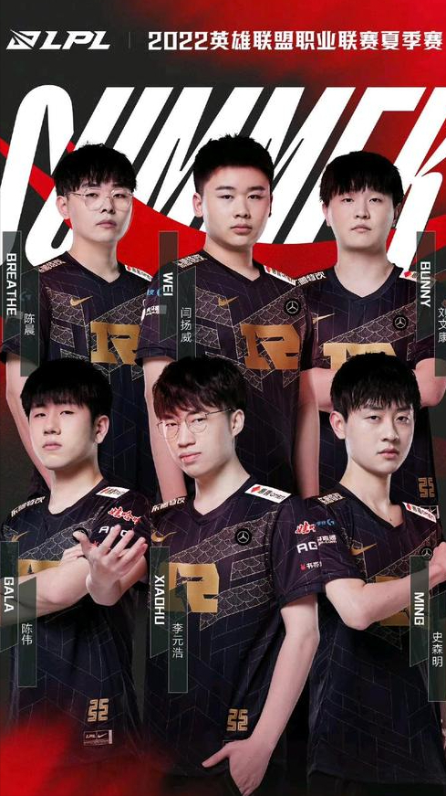 动直面订阅 动直面订阅